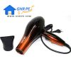 Professional Hair Dryer GM-1719 by Gemei