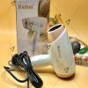 Professional Hair Dryer by Kemei Km-3365